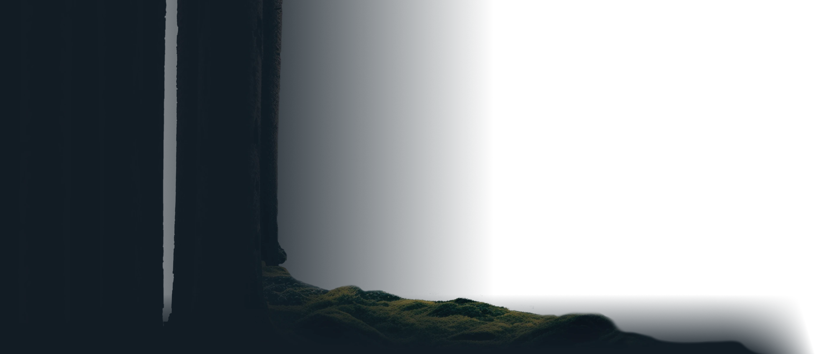 trees